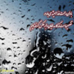 Meet your Posher, Najiba